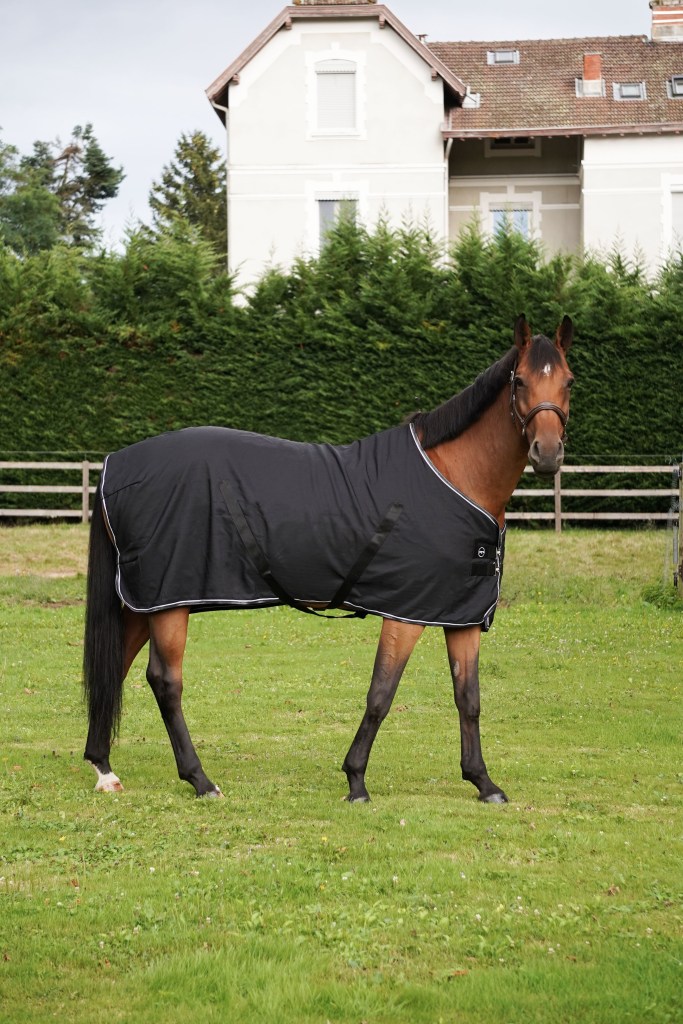 Shooting AF SPORT / Alberta Communication