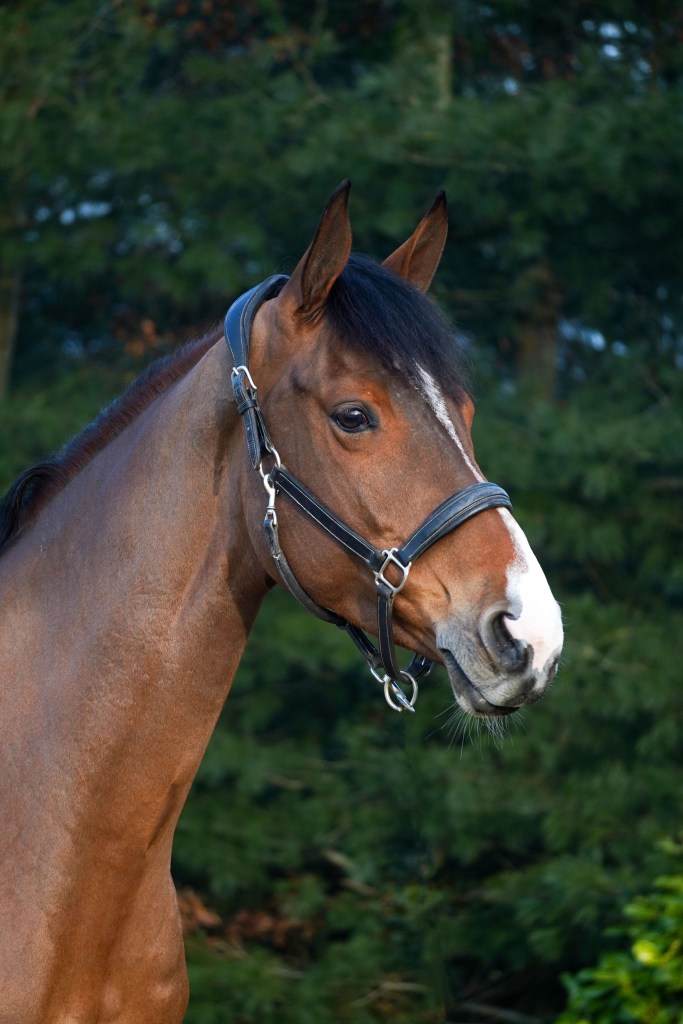 Shooting photo / Alberta Communication