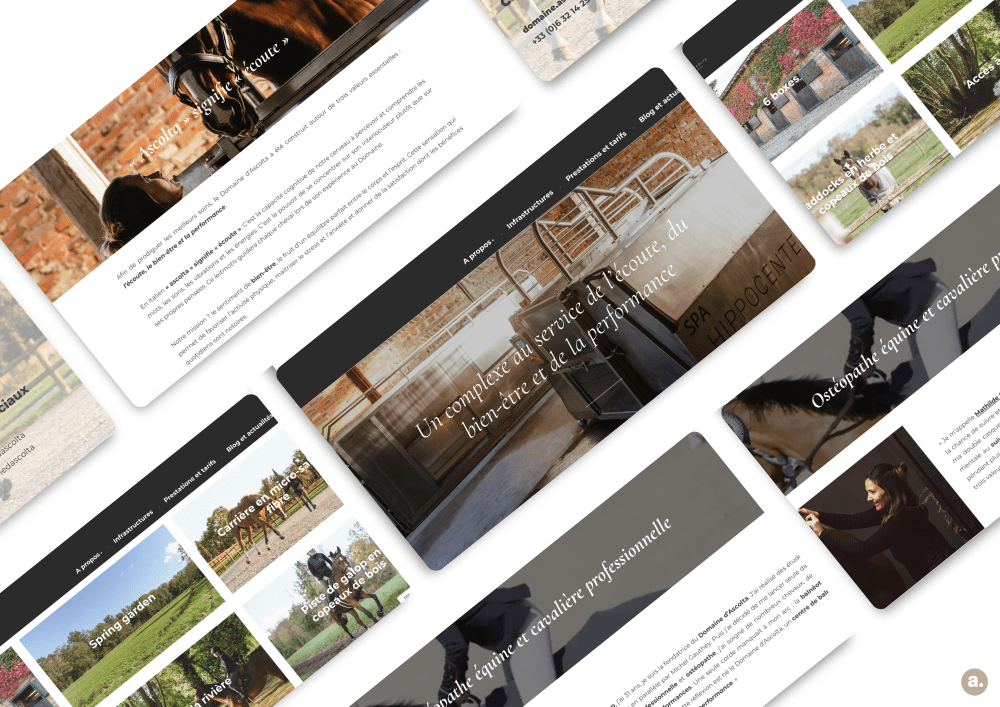 Creation de site internet Alberta