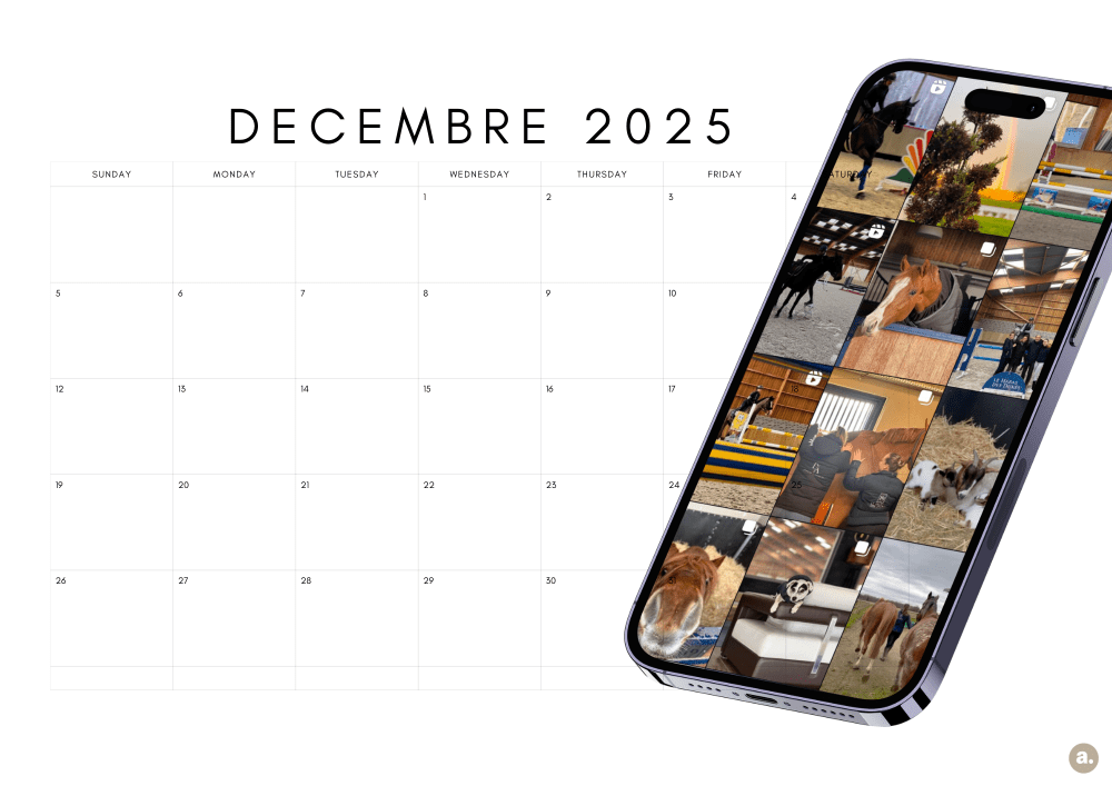 Gestion des réseaux sociaux Alberta Communication